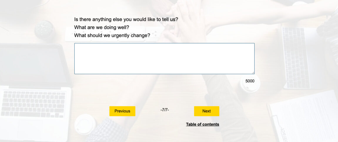Example employee satisfaction questionnaire: comment field