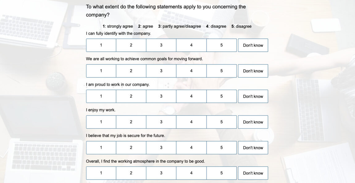 Example Employee Satisfaction Questionnaire: General Feedback