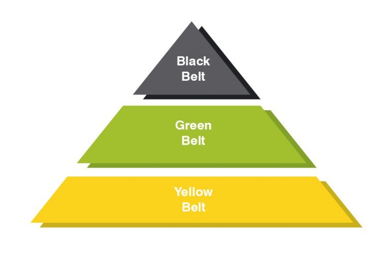 Hierarchien Lean Six Sigma Hierarchien Lean Six Sigma