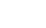 Logo DSW21 white