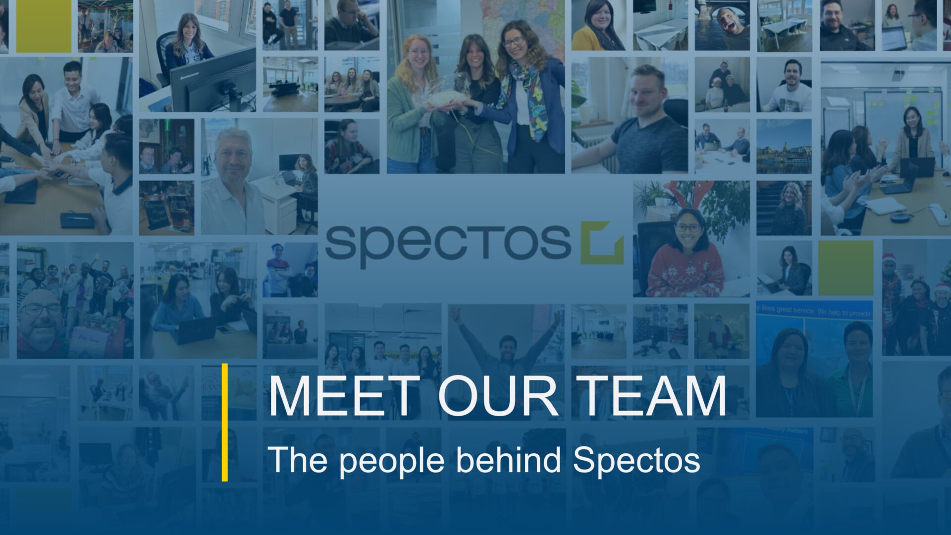 MEET OUR TEAM: Die Gesichter hinter Spectos